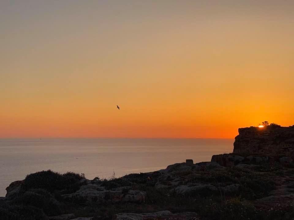 Ta Marie Merhba Zebbug  Luaran gambar
